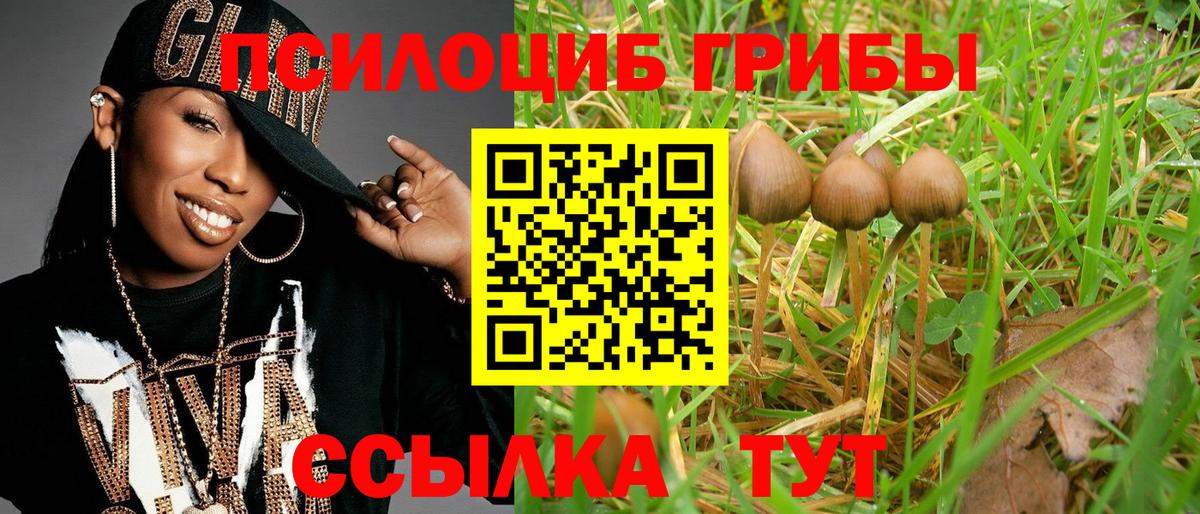 Псилоцибиновые грибы MAGIC MUSHROOMS  Вход с VPN  даркнет сайт  Дубна 